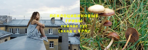прущий лед Зеленокумск