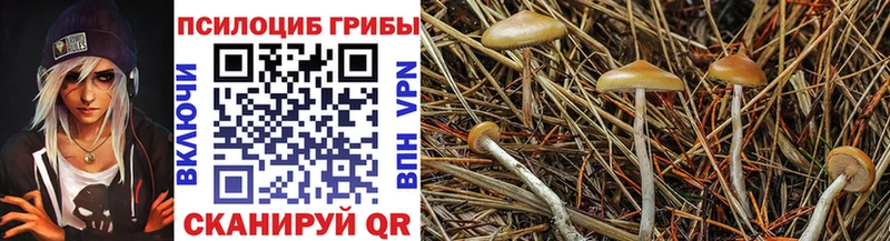 Галлюциногенные грибы MAGIC MUSHROOMS  Купить  Черемхово 